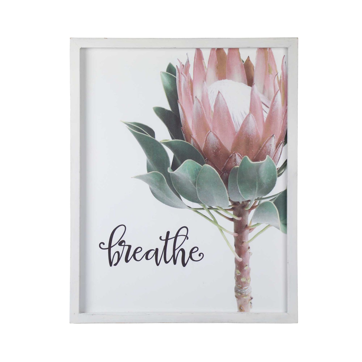 Printed Floral with Script Wall Decor